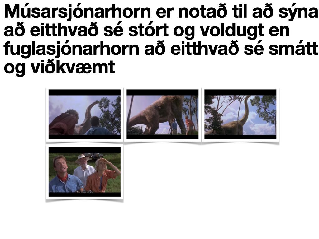 Hlutverk mismunandi sjónarhorna